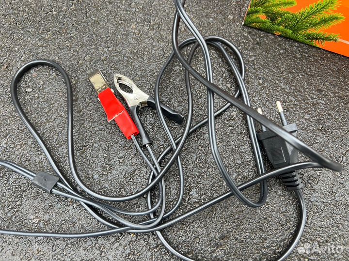 Зарядное устройство кедр 10А