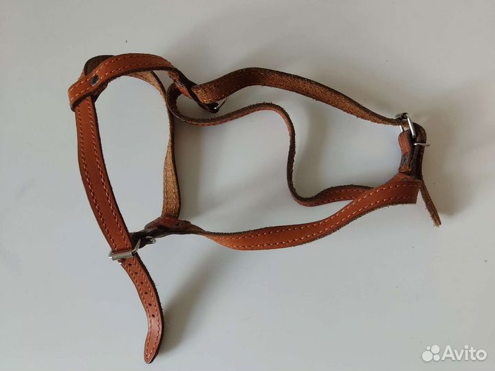 Кожаная шлейка для собаки