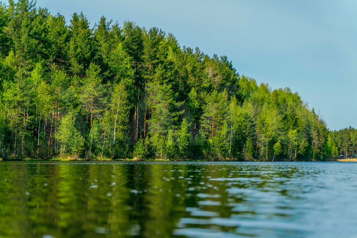 Участок 9 сот. (СНТ, ДНП)