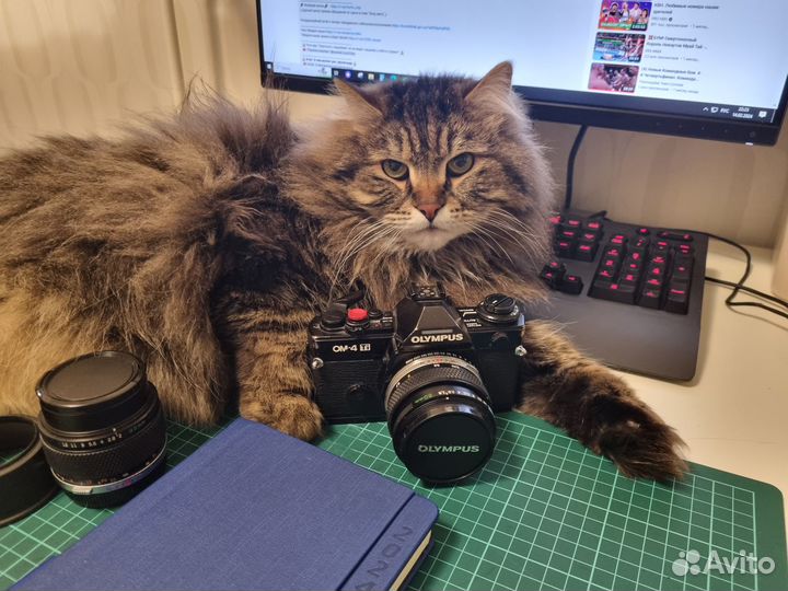 Olympus OM-4Ti + zuiko 50/1.8