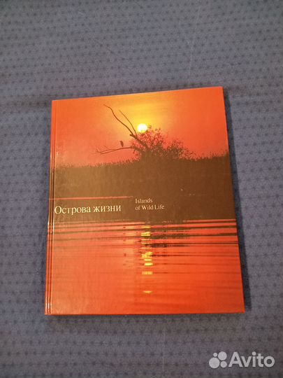 Книга о природе с иллюстрациями 