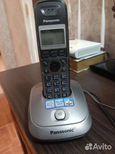 Panasonic
