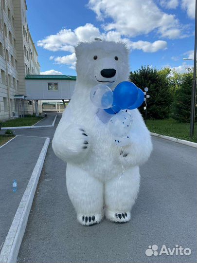 Поздравление медведем 2,5 метра