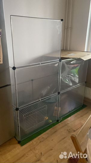 Декоративный кролик самец с клеткой, вольером