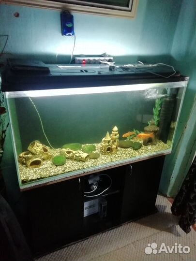 Аквариум