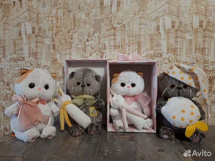 Кот Басик Беби, Кошечки Лили Беби с игрушками