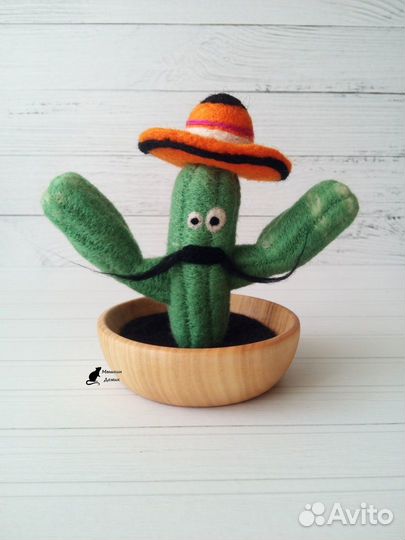 Шерстяной кактус Педро