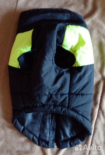 Демисезонная куртка для небольшой собаки