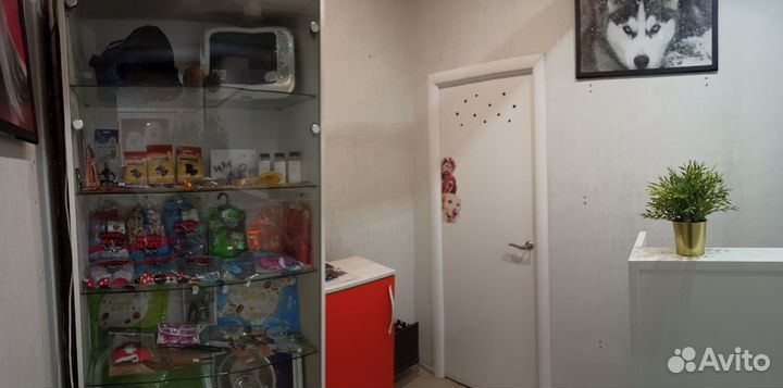 Зоосалон. Готовый бизнес