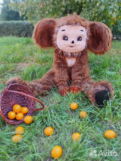 Экспресс поздравление живая открытка