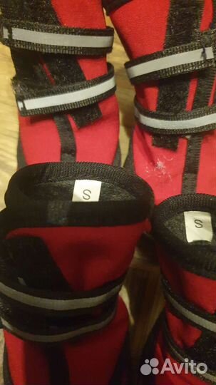 Сапоги для собак