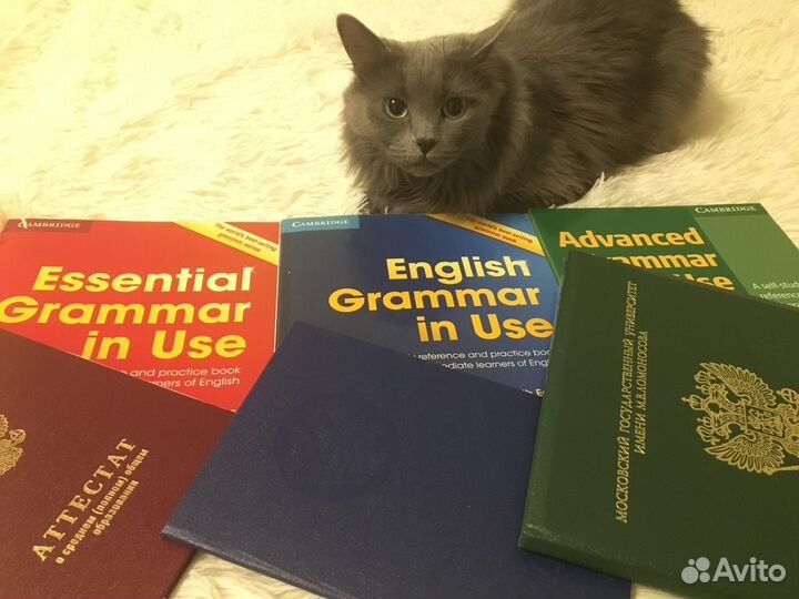 Репетитор по английскому языку, итал, нем МГУ мглу