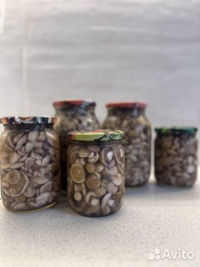 Грибы маслята маринованные