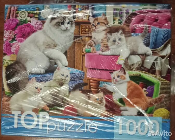 Пазлы 1000