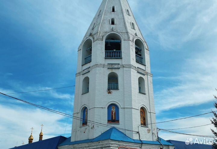 11.авг.23 Путешествие со вкусом /цо3066