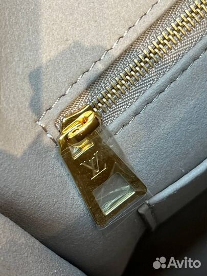 Сумка Louis Vuitton M 45595