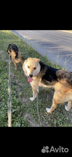 Подарите ему дом