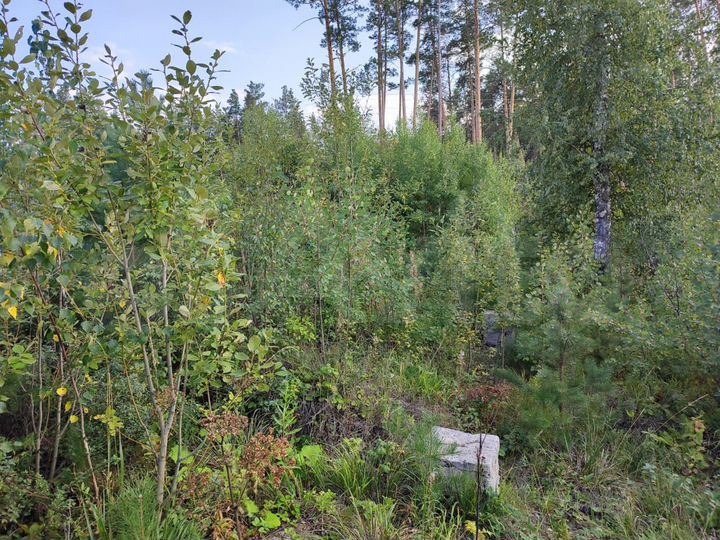 Участок 14 сот. (ИЖС)