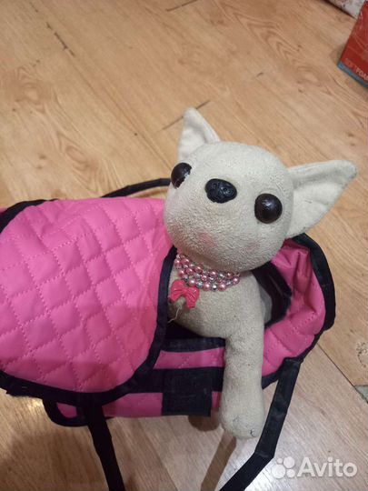 Собачка чичилав