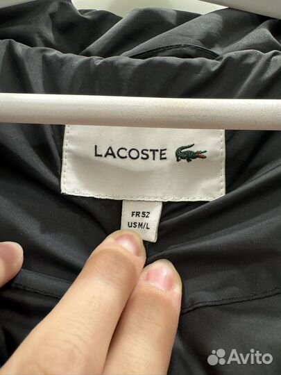 Пуховик мужской lacoste