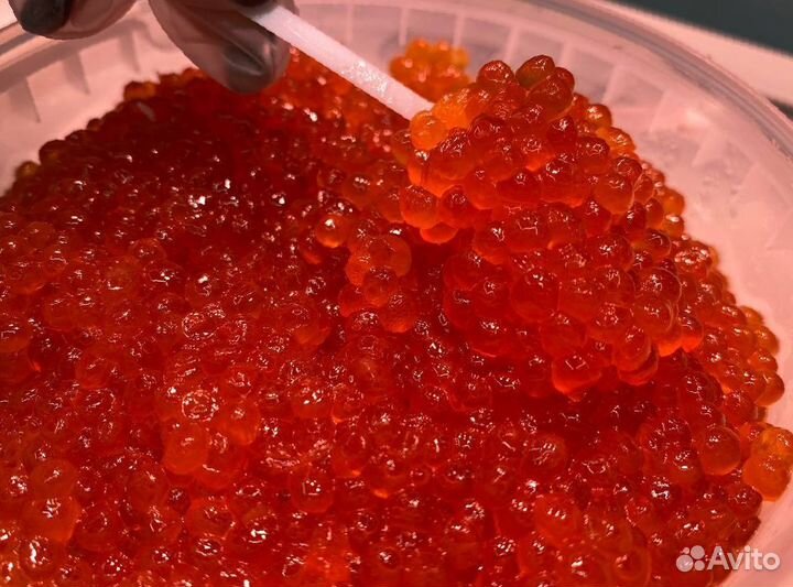 Красная икра 2023 Разбористая Опт