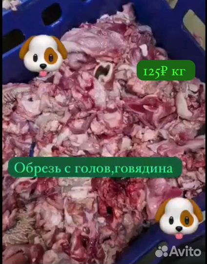 Мясо говядины для собак