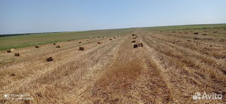 Продам солому
