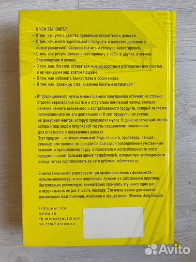 Финансы триллионера. Аляутдинов Ш
