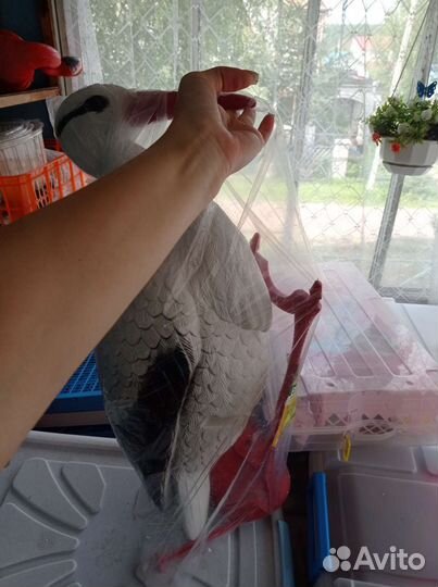 Садовые птицы