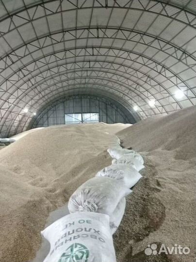 Пшеница, овес, ячмень