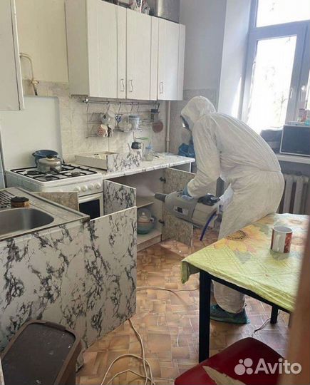 Травить тараканов клопов