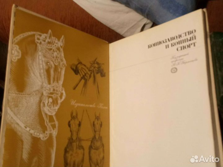 Конезавоство и конный спорт