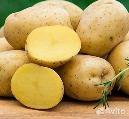 Продам картофель вкусный крупный