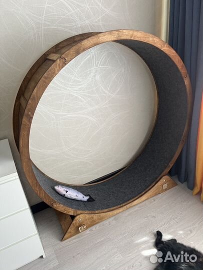 Беговое колесо для кошек