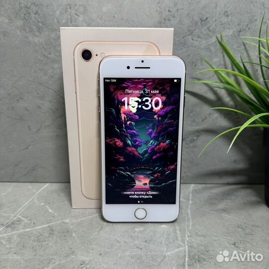 iPhone 8, 64 ГБ