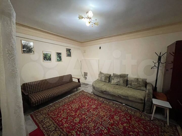 1-к. квартира, 25,5 м², 1/2 эт.