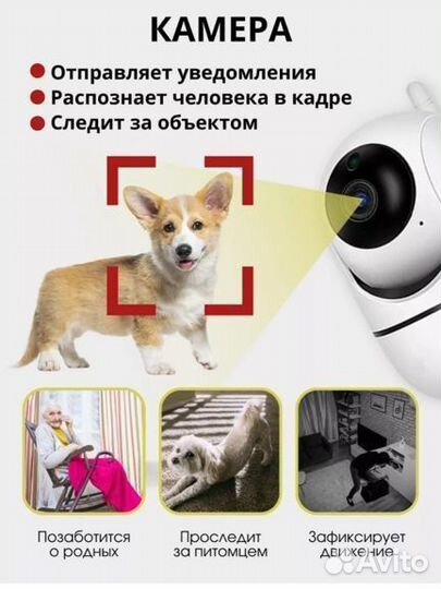 Ip wi fi камера