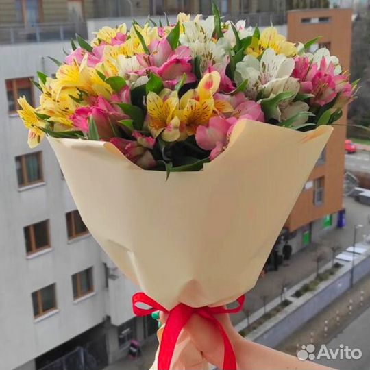 Альстромерии. Доставка Букетов. Свежие Цветы