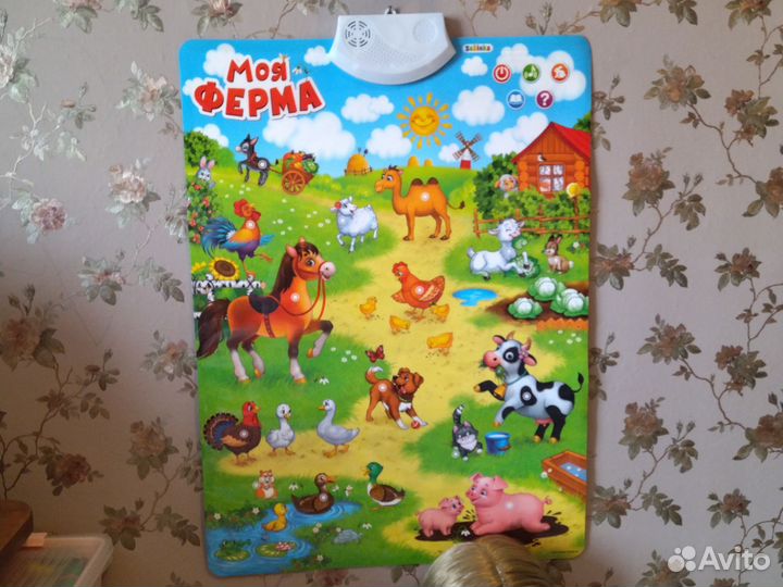 Развивающий плакат