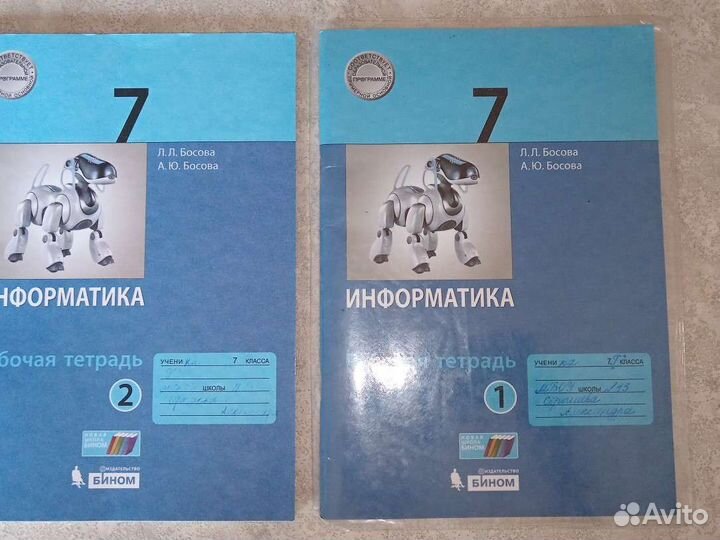 Рабочие тетради информатика