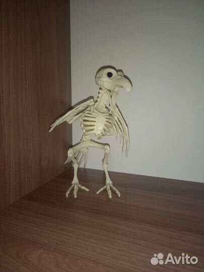 Скелет птицы новый