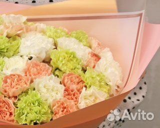 Букет из 51 диантуса (гвоздики) нежный микс