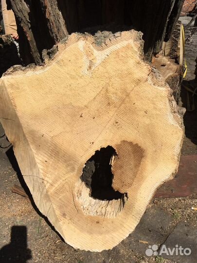 Слэб лофт свайс спил клен сухой