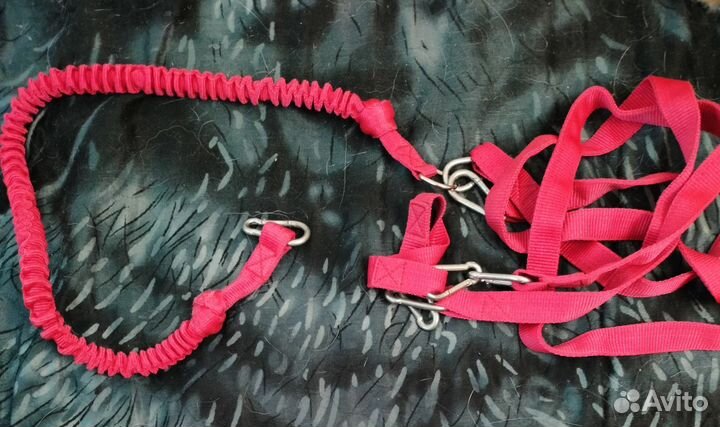 Шлейка ездовая, потяг на собаку