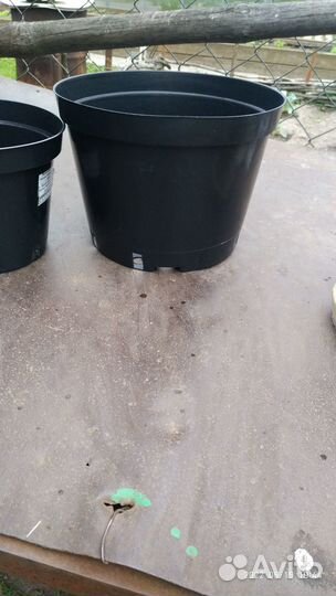 Кашпо для растений