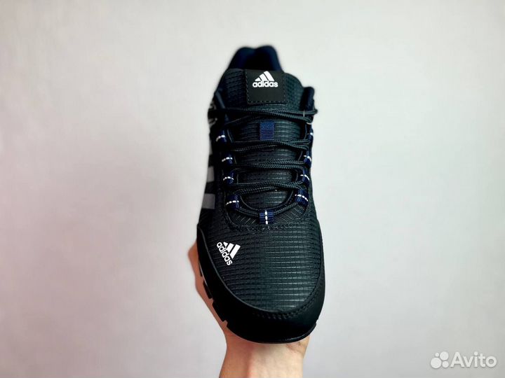 Кроссвки Adidas Terrex