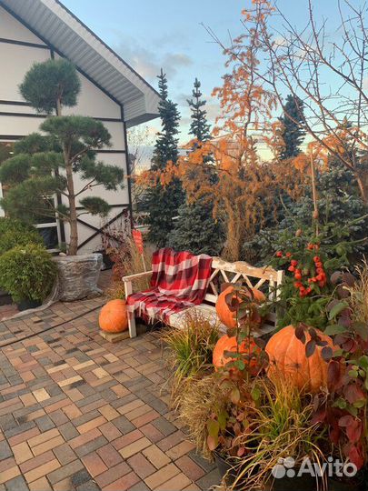 Плодовые деревья и кустарники
