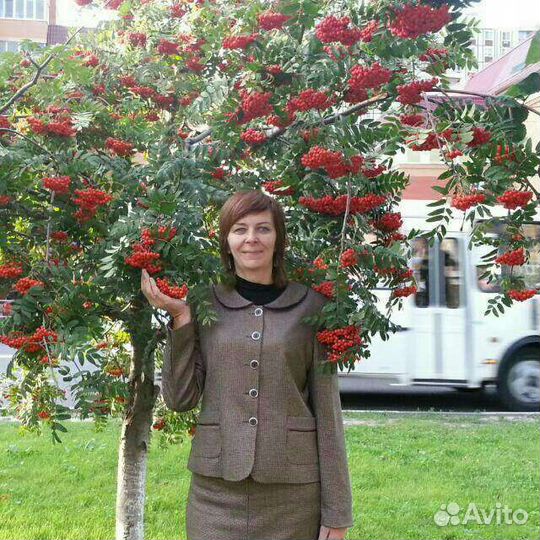 Репетитор по математике