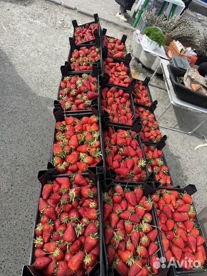 Свежая клубника Азербайджанская