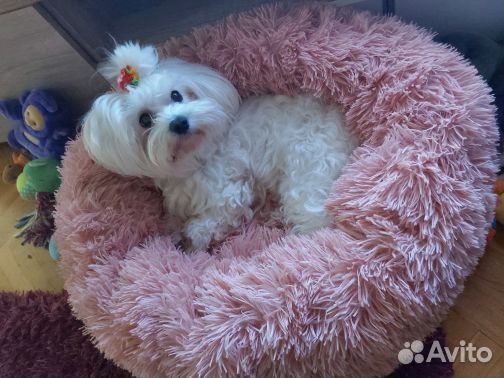 Лежанка кровать для кота, собаки